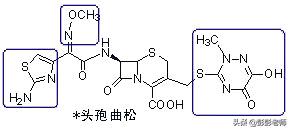 100个常用药物结构特征与作用总结！2020执业药师考生背诵版