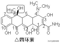 100个常用药物结构特征与作用总结！2020执业药师考生背诵版