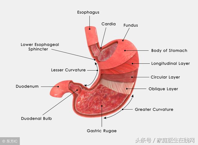 越来越多人得胃癌？目前治疗胃癌，多靠这2类方法