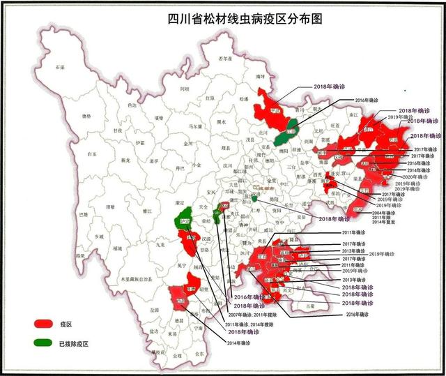 科普丨四川外来入侵物种大盘点