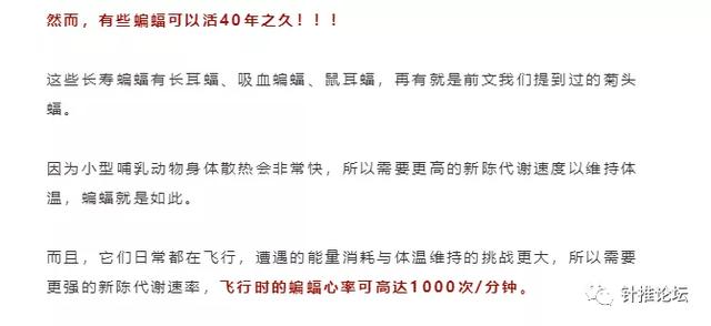 蝙蝠这种牛逼生物，不招惹人类已是万幸，为什么还有人敢吃它们？！