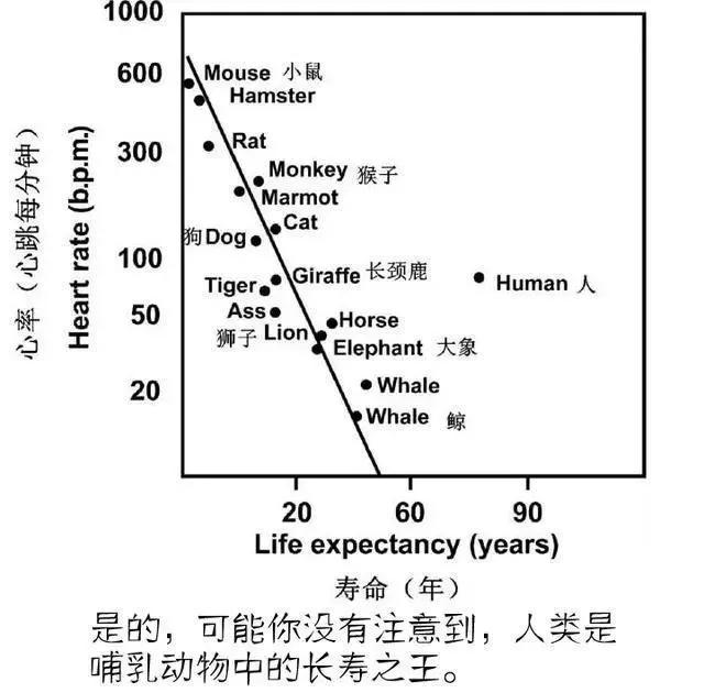 蝙蝠这种牛逼生物，不招惹人类已是万幸，为什么还有人敢吃它们？！