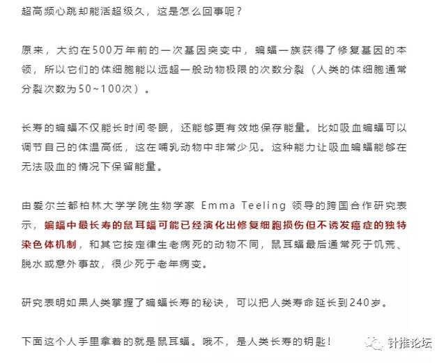 蝙蝠这种牛逼生物，不招惹人类已是万幸，为什么还有人敢吃它们？！