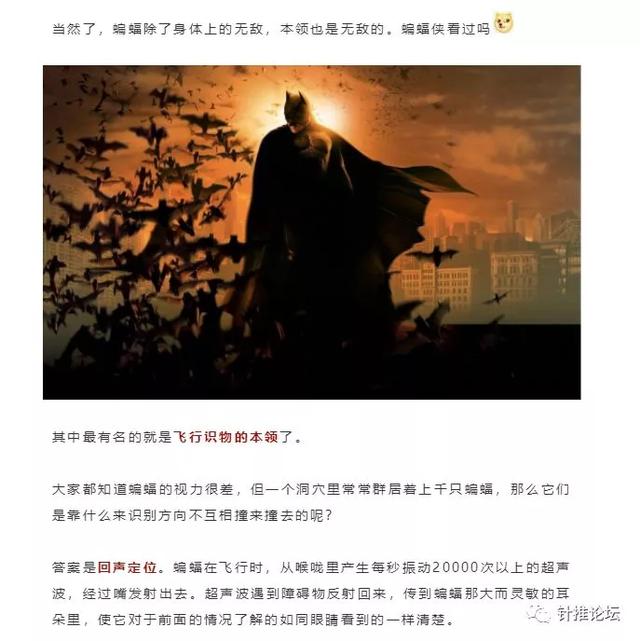 蝙蝠这种牛逼生物，不招惹人类已是万幸，为什么还有人敢吃它们？！