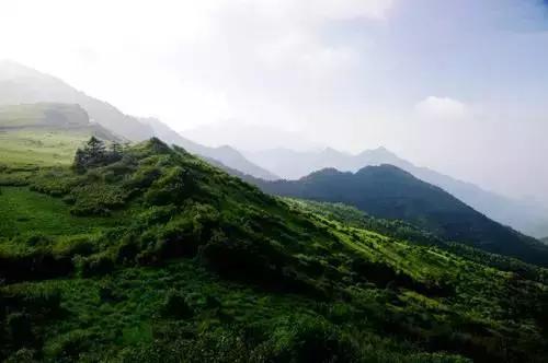 全国旅游宝典，景区景点大全，想去旅游的可以收藏了