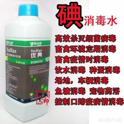 龙虾池中用二氧化氯与优碘哪个效果好？