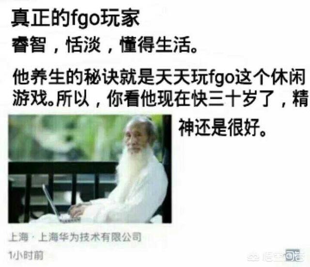 游戏命运冠位Fgo现阶段主力玩家都是些什么样层次的人？