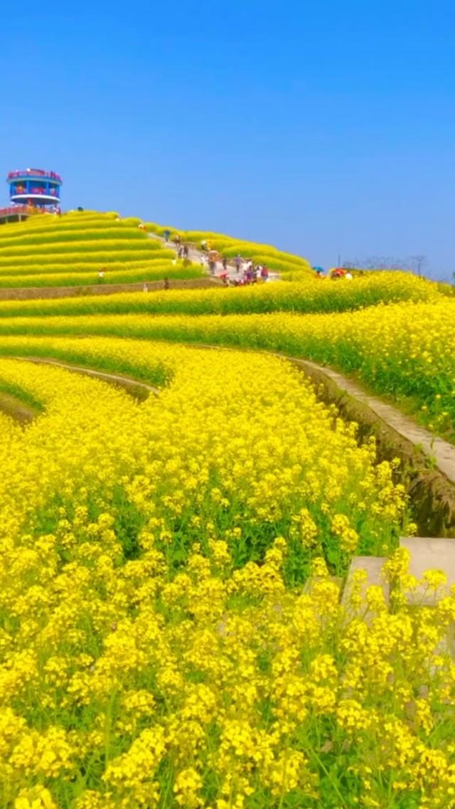 外出旅游，上车睡觉，下车尿尿，到了景区就拍照，你是这样的吗？