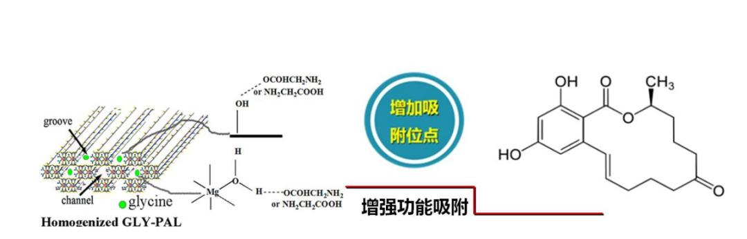 王爱勤攻克凹凸棒石国际性产业难题，“以色制色”构筑功能新材料