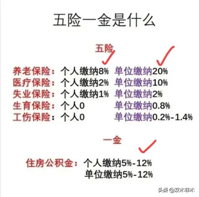 五险一金，是哪五险，哪一金，缴纳标准又是什么，看完便知