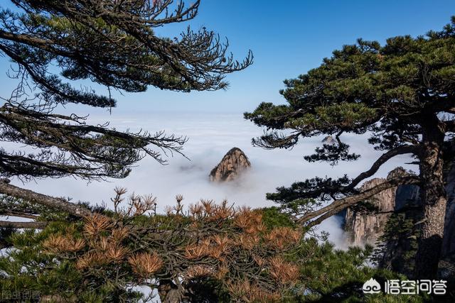 三山五岳、四大道教名山、四大佛教名山都是哪些山？