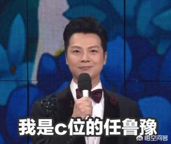 2019央视春晚主持人名单曝光，任鲁豫继续站C位成领军人物，如何评价任鲁豫？