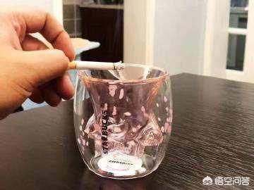 为什么星巴克网红“猫爪杯”会遭到疯抢？