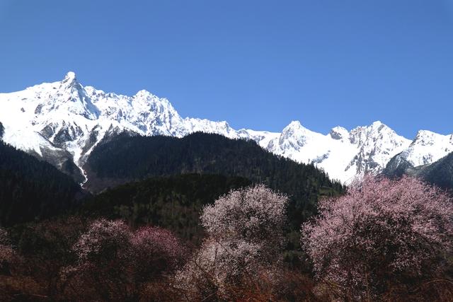 退休了，你有勇气独自一个人出门旅游吗？独游真的很酷吗？