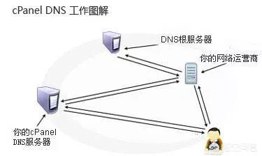 DNS到底是个什么东西？