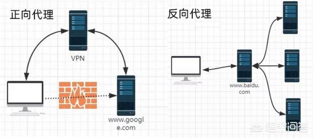 tomcat与nginx，apache的区别是什么？