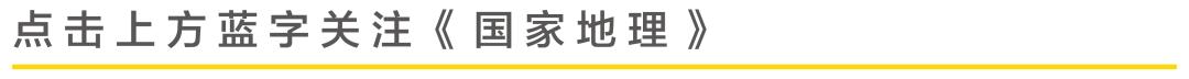 穿山甲真的要被我们吃灭绝了吗？