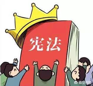 民法典和刑法、宪法之间，有什么区别吗？