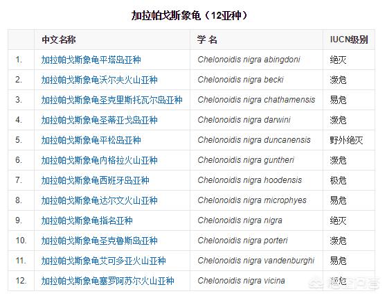 据说百岁象龟迭戈凭一己之力繁衍800只，拯救整个物种，是真的吗？有何依据？