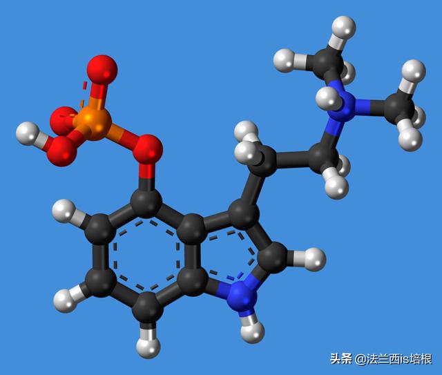 见手青，致幻蘑菇，打通大脑感知连接，让你在现实中看见虚拟小人