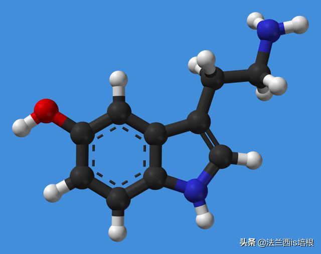 见手青，致幻蘑菇，打通大脑感知连接，让你在现实中看见虚拟小人