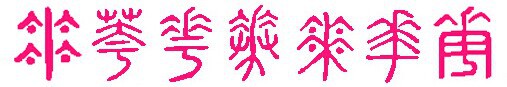 THE AMAZING CHINESE CHARACTERS