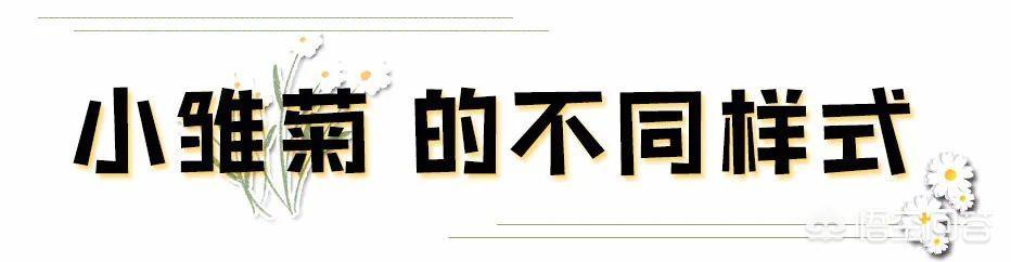 你认为今年最烂大街的穿搭是什么样式的？