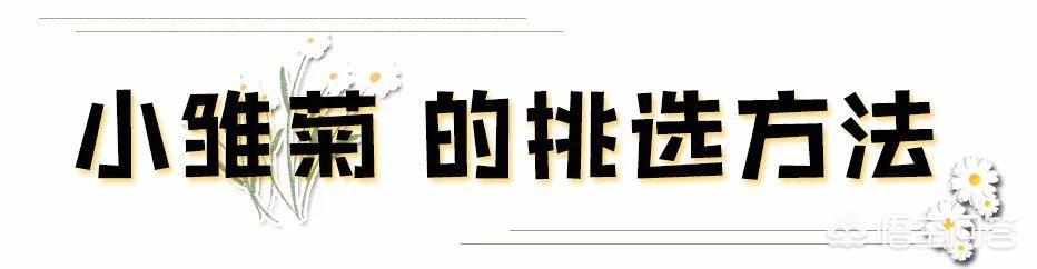 你认为今年最烂大街的穿搭是什么样式的？