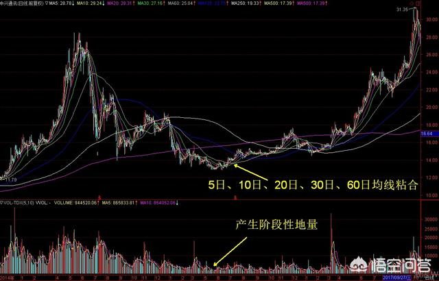 股市中阶段性底部出现的信号有那些，能具体说一下吗？