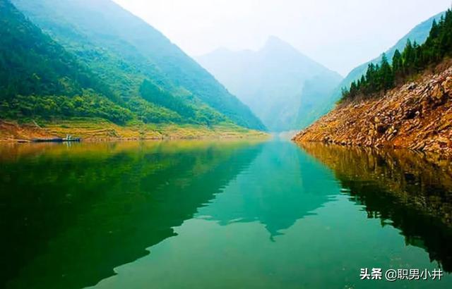 三峡水库蓄水差不多20年了，你觉得如今里面最大的鱼能有多大？