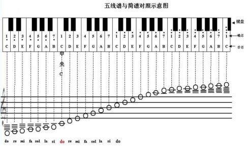 怎样识别简谱的调？