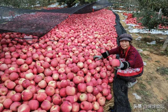 很多农民种的水果都卖不掉，中国为何还大量进口东南亚的水果？