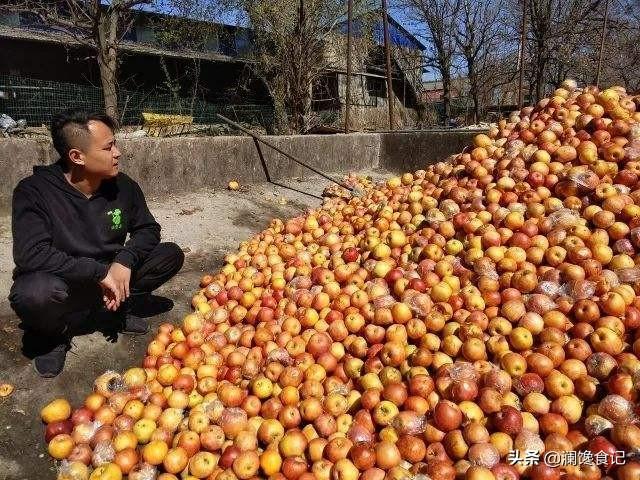 很多农民种的水果都卖不掉，中国为何还大量进口东南亚的水果？