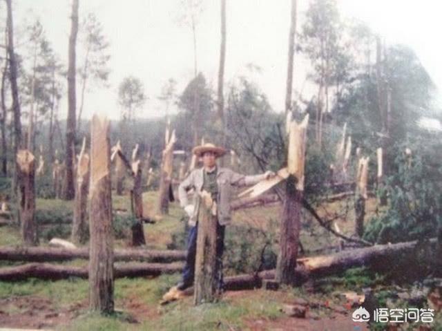 贵州空中怪车事件真是地外文明所致吗？