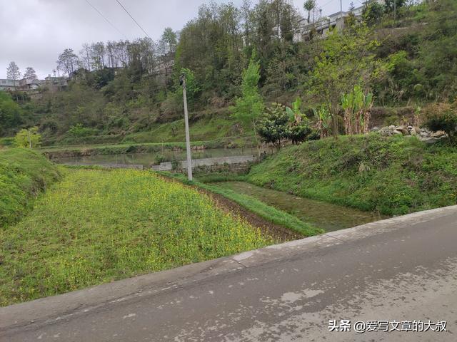 粮价下跌，各种滞销，农民种植养殖的未来在何方？