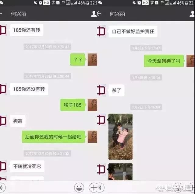 柯基事件的那位老师说深受网络暴力的影响，你怎么看？