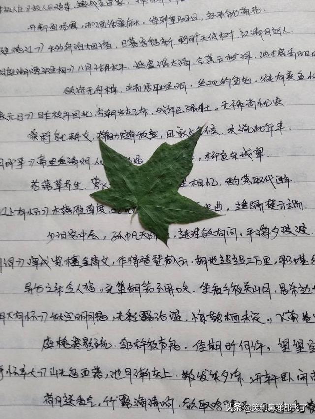 一般人写网络小说能挣钱吗？