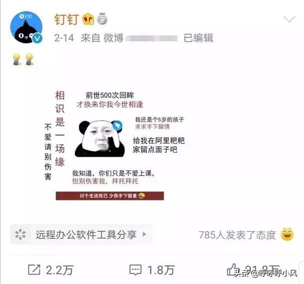 有哪些成功的社会化媒体营销案例？