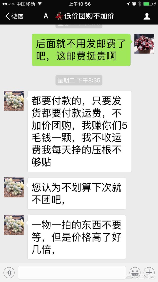 关于网购，大家都有哪些奇葩的经历？