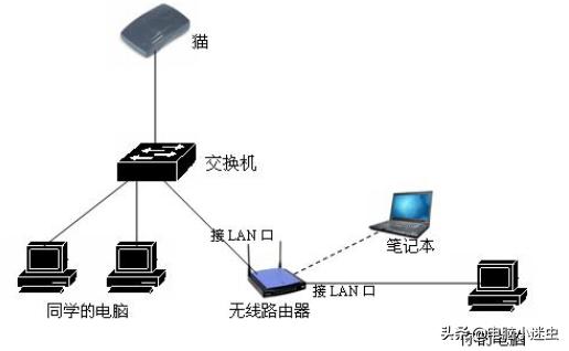 交换机的作用是什么？