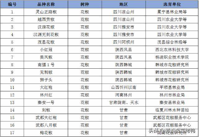 市场上的红花椒、青花椒和藤椒是什么关系？熟食行业怎么选择使用