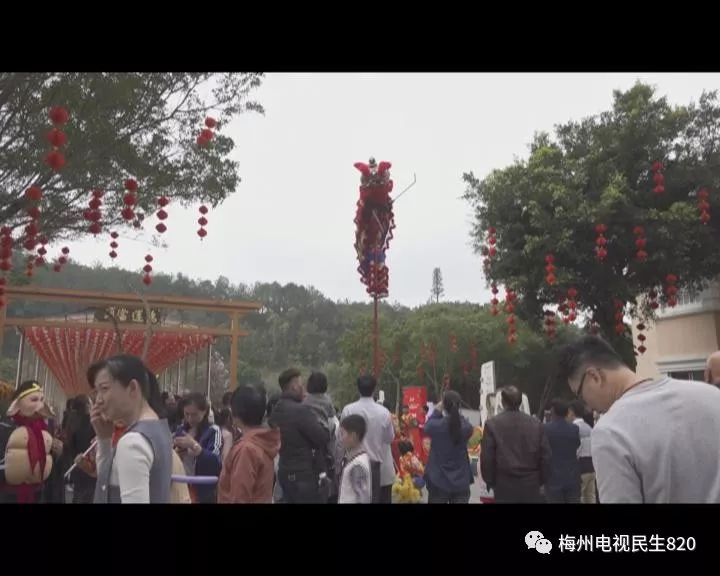 舞狮闹闹睡眼萌龙_舞龙舞狮音乐_舞狮音乐remix