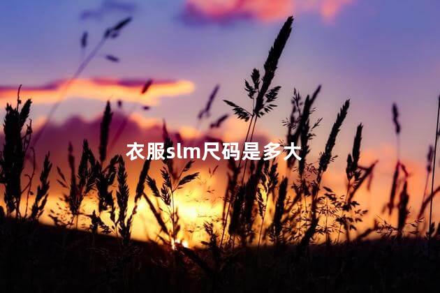 衣服slm尺码是多大