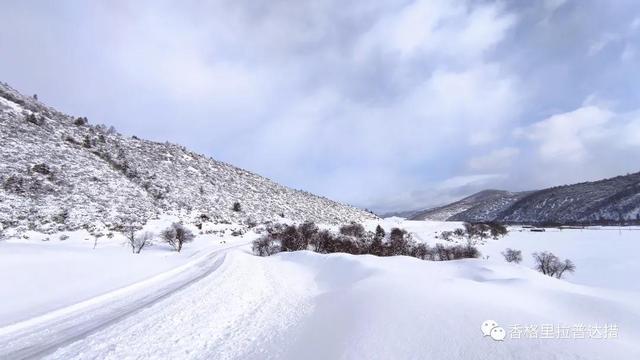 云南多地大雪+封路！前往这些方向的车友，请注意