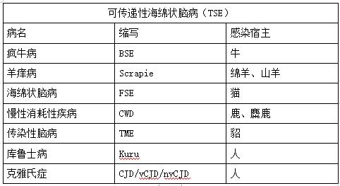 一文了解疯牛病