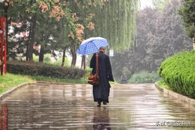 一场雨，让青龙寺变成了另一番模样