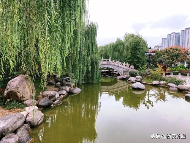 一场雨，让青龙寺变成了另一番模样