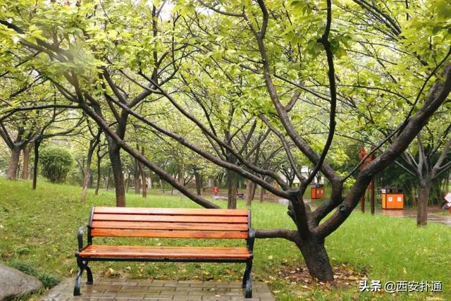 一场雨，让青龙寺变成了另一番模样