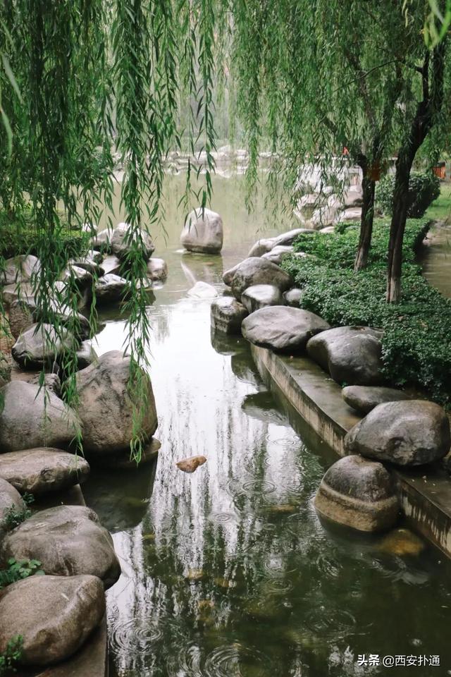 一场雨，让青龙寺变成了另一番模样