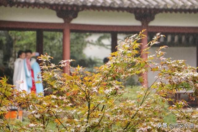 一场雨，让青龙寺变成了另一番模样